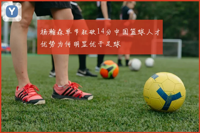 杨瀚森单节狂砍14分中国篮球人才优势为何明显优于足球