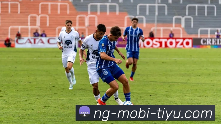 南宫体育平台生态图